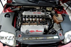 v6 alfa