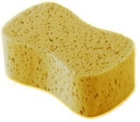 eponge
